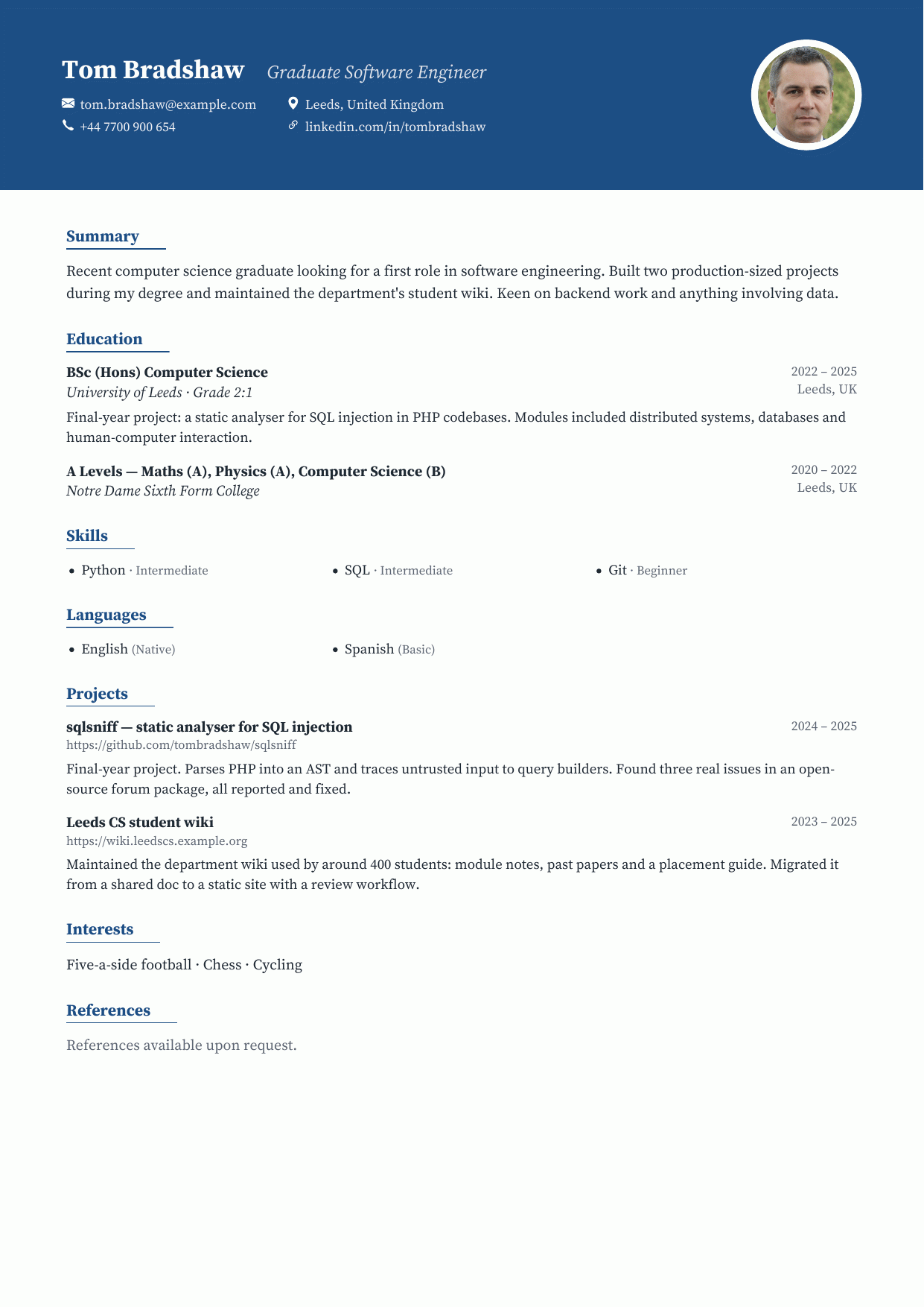 Deep Cobalt CV template preview